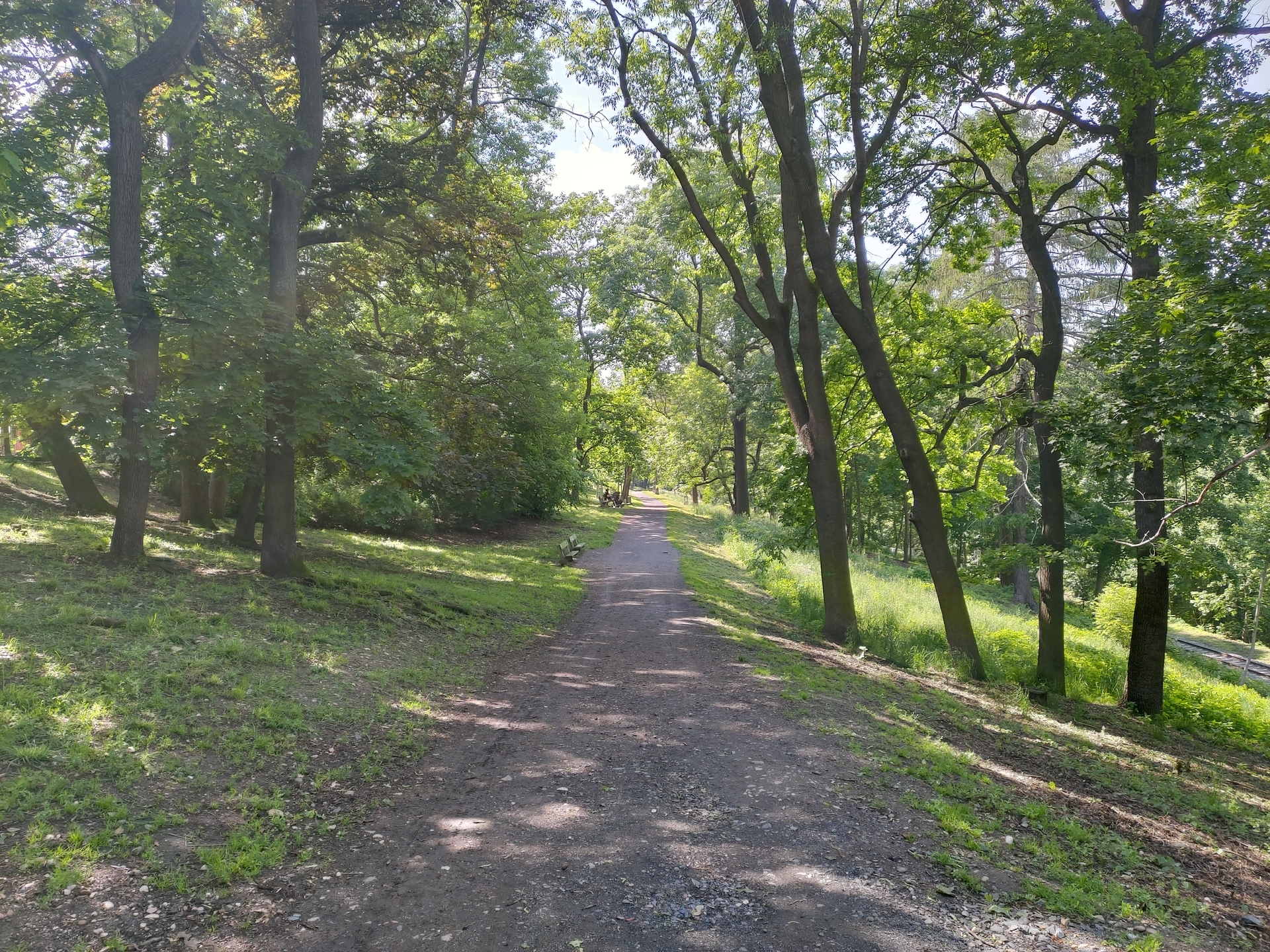 ASUS ZenFone 6 (2019)