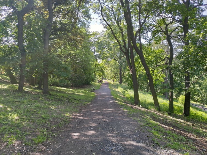 ASUS ZenFone 6 (2019)