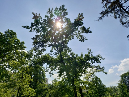 ASUS ZenFone 6 (2019)