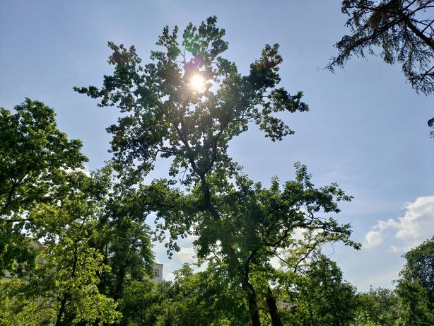 ASUS ZenFone 6 (2019)