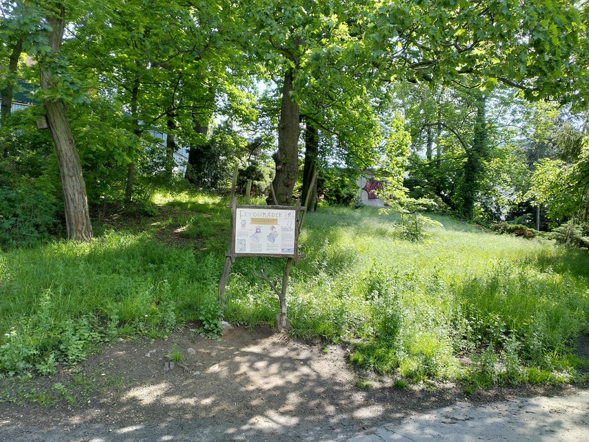 ASUS ZenFone 6 (2019)