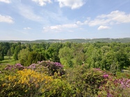 ASUS ZenFone 6 (2019)