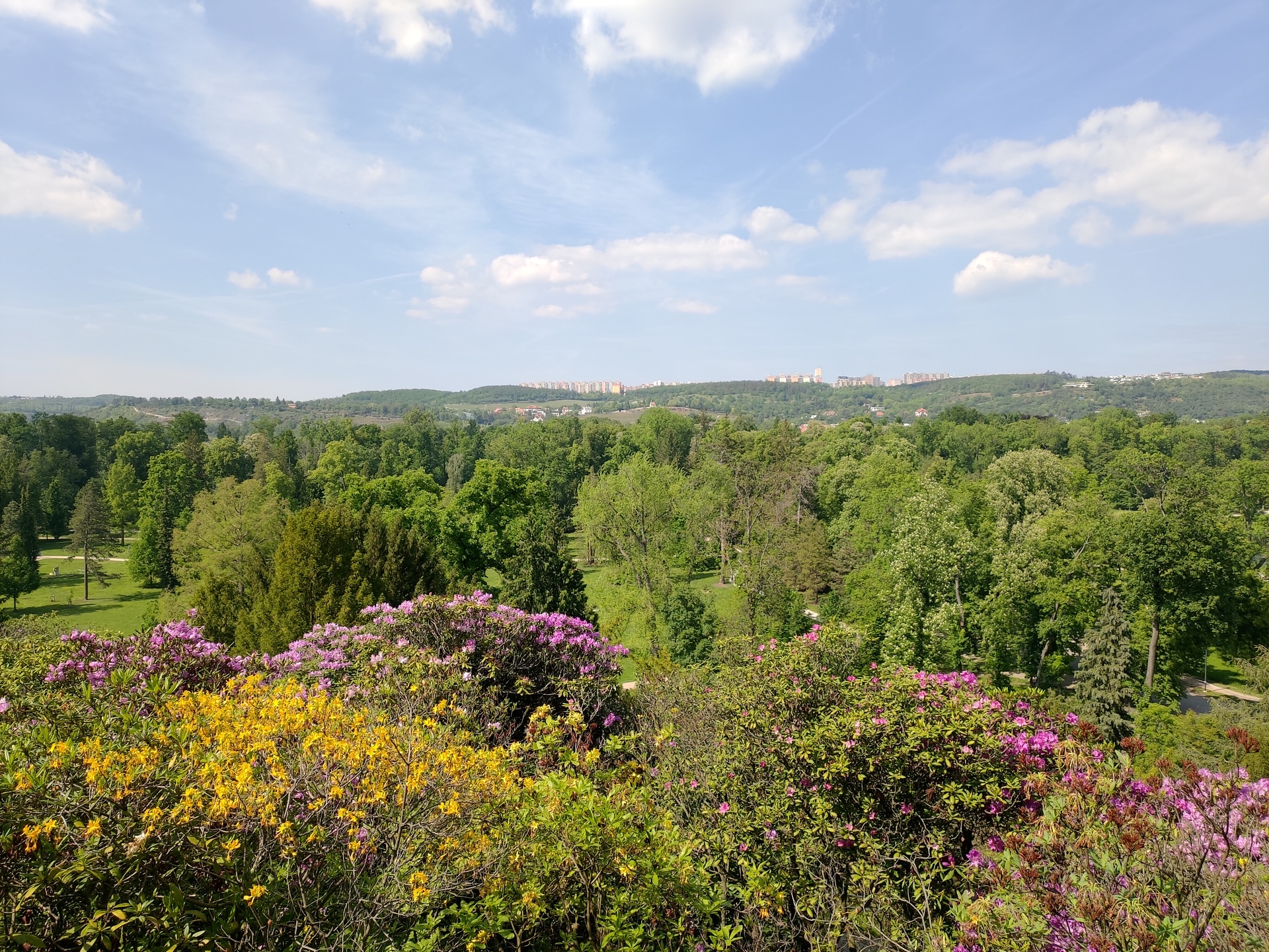 ASUS ZenFone 6 (2019)