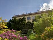 ASUS ZenFone 6 (2019)