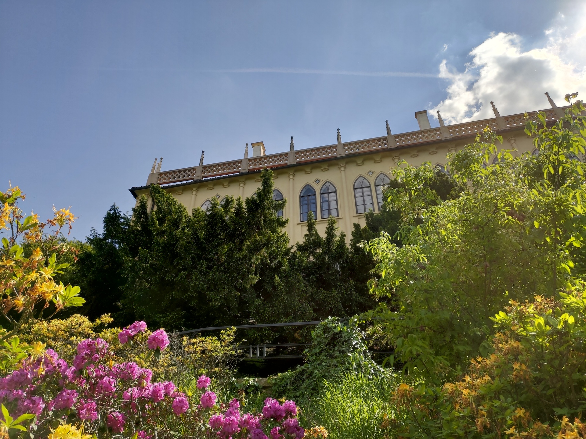 ASUS ZenFone 6 (2019)