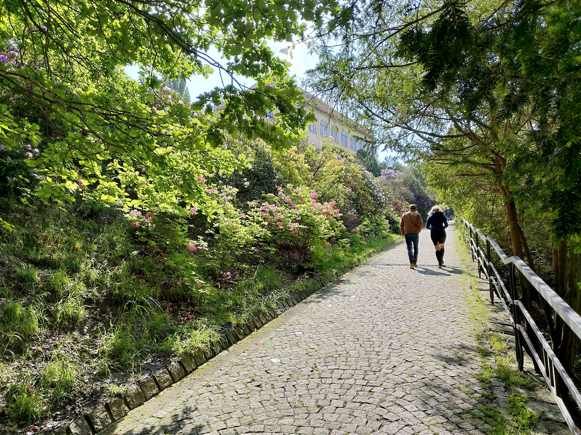 ASUS ZenFone 6 (2019)