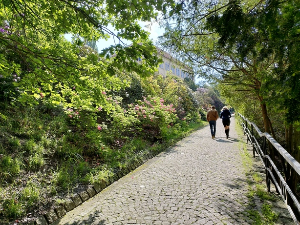 ASUS ZenFone 6 (2019)