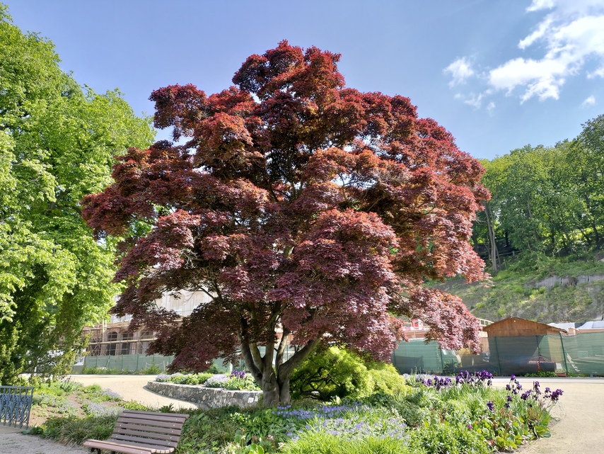 ASUS ZenFone 6 (2019)