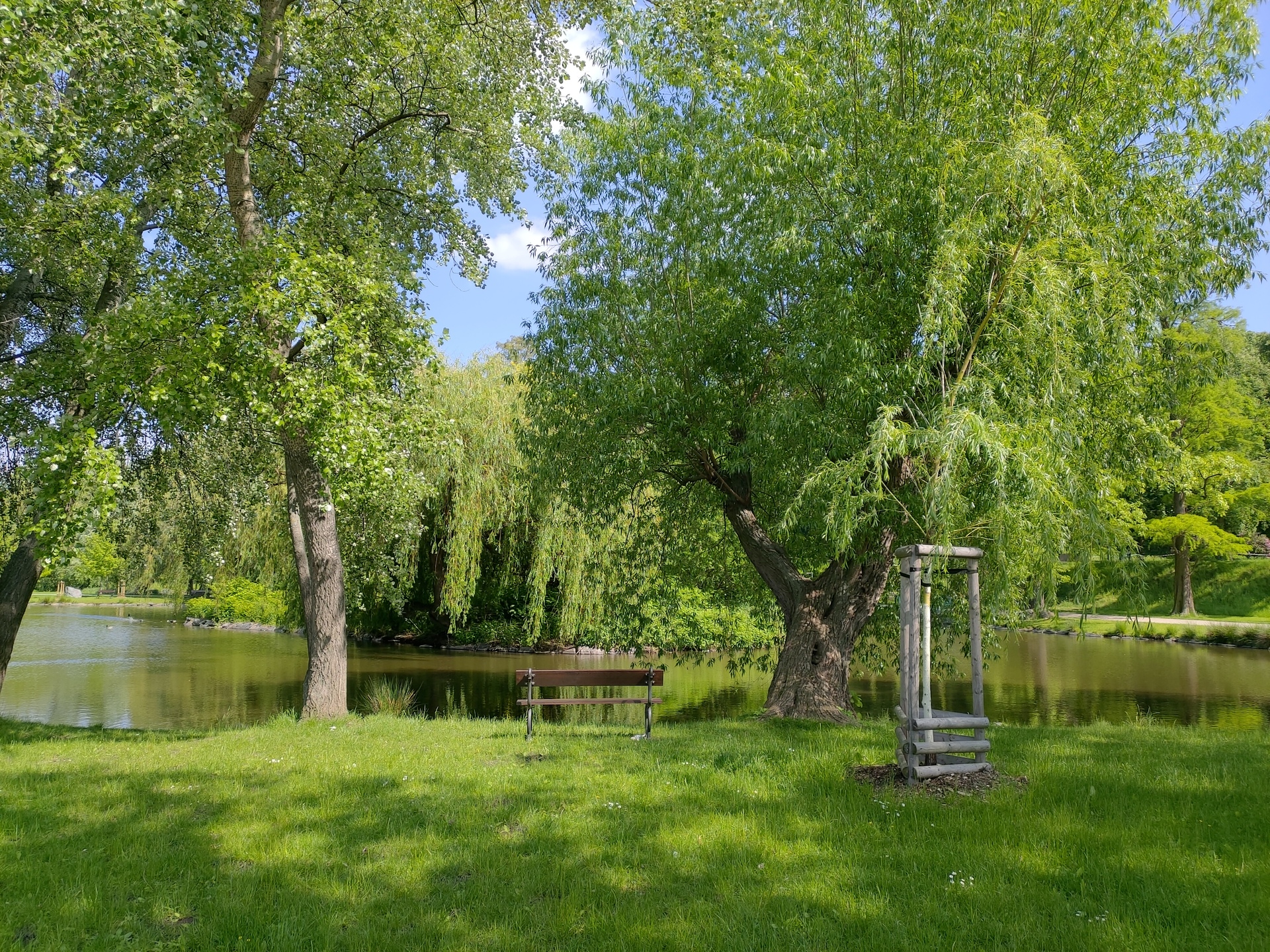 ASUS ZenFone 6 (2019)