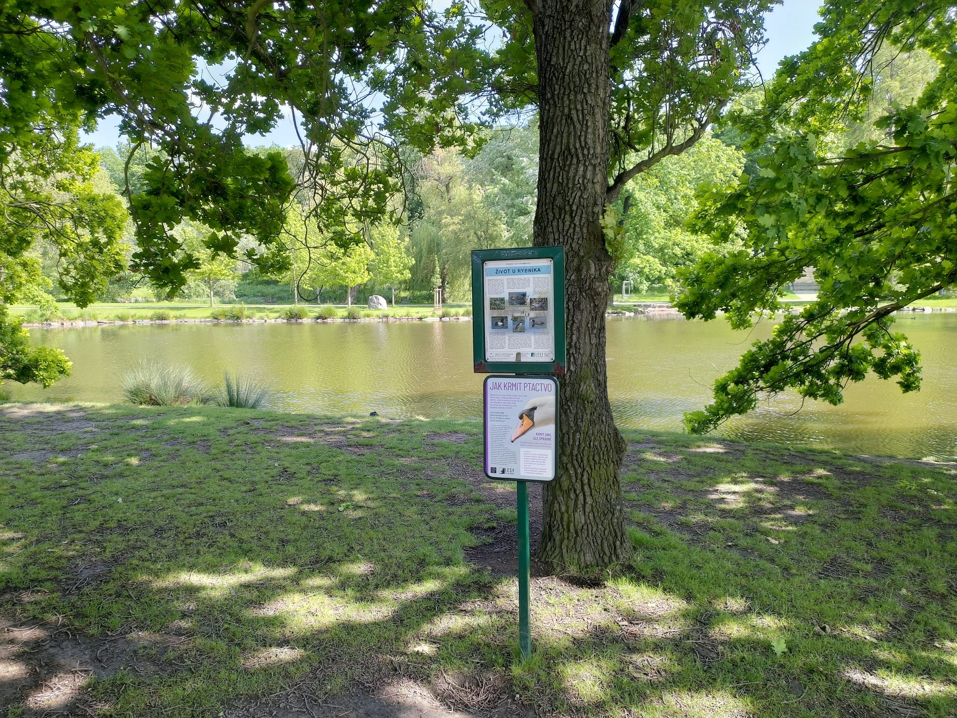 ASUS ZenFone 6 (2019)