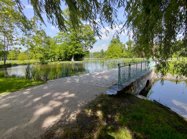 ASUS ZenFone 6 (2019)