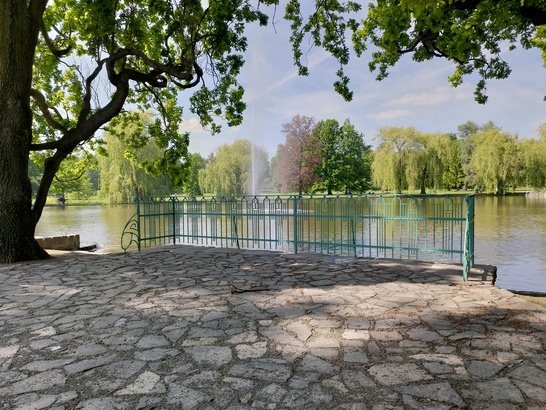 ASUS ZenFone 6 (2019)