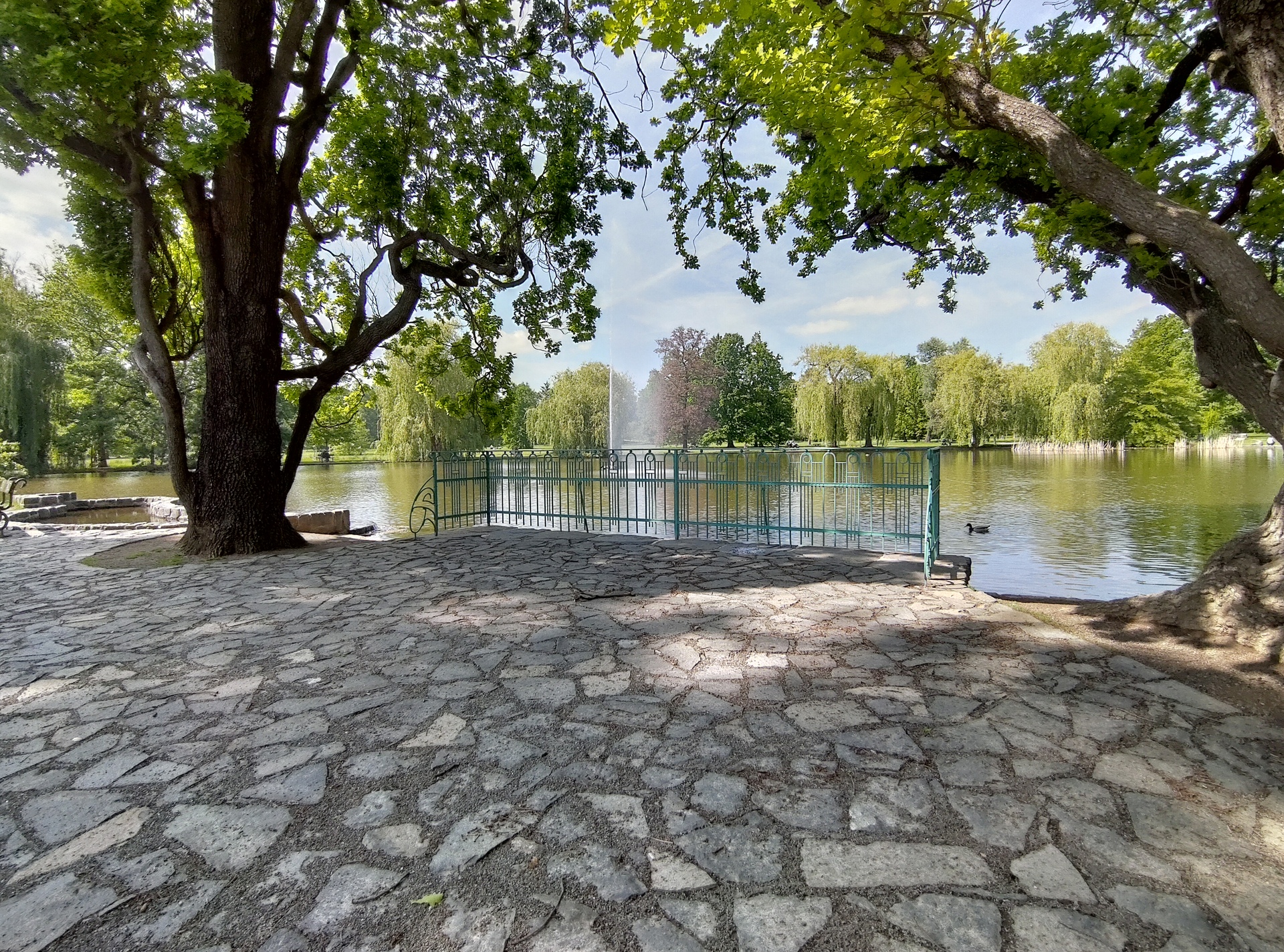 ASUS ZenFone 6 (2019)