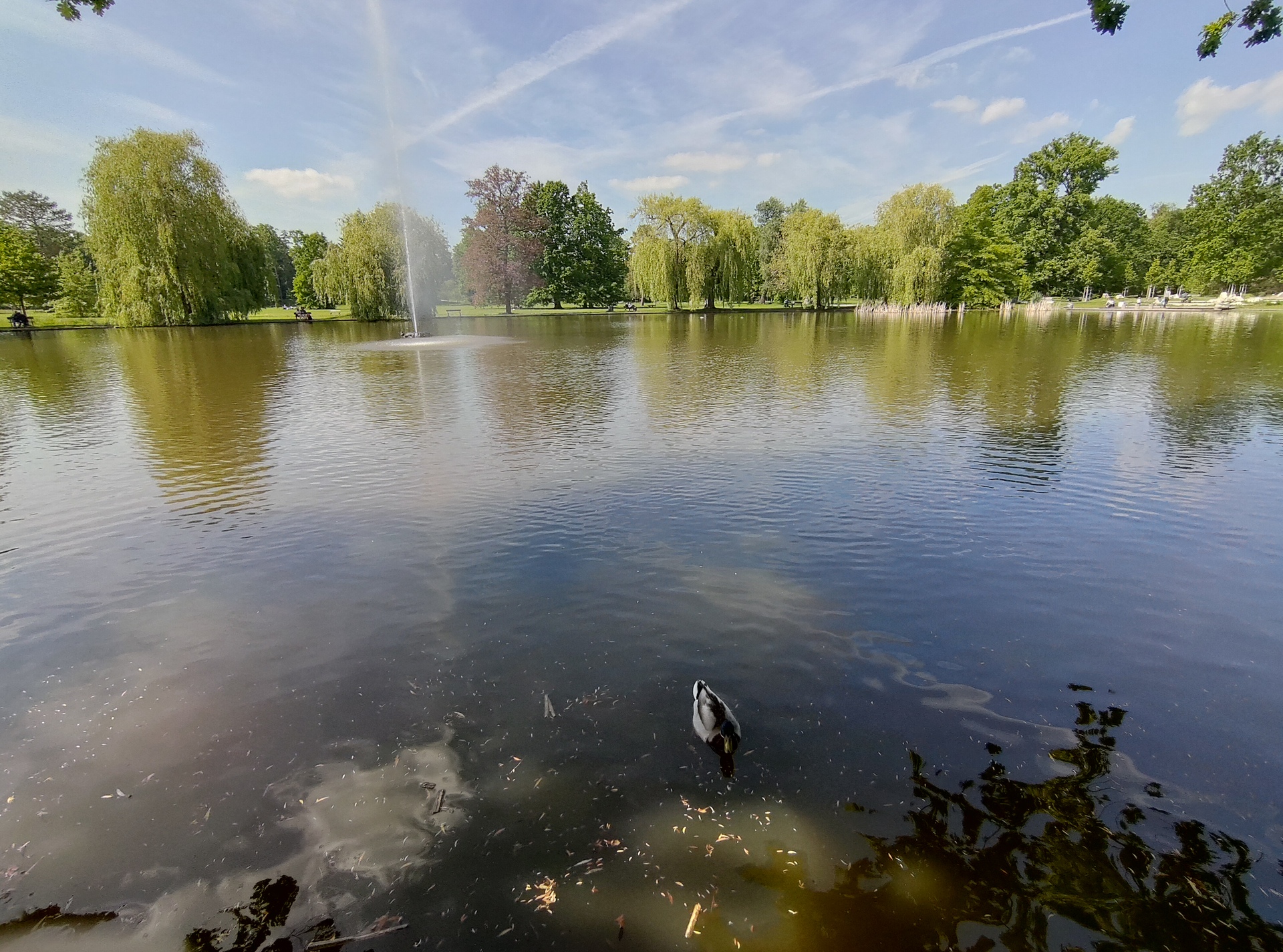 ASUS ZenFone 6 (2019)