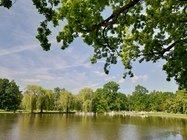 ASUS ZenFone 6 (2019)