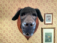 ASUS ZenFone 6 (2019)