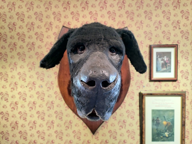 ASUS ZenFone 6 (2019)