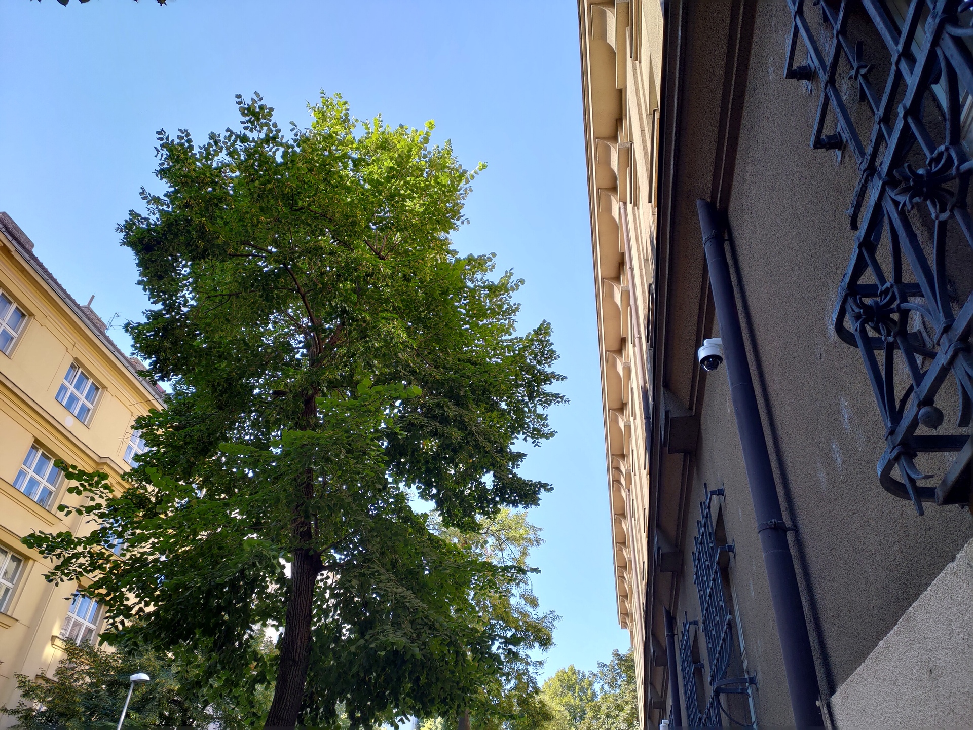 ASUS ZenFone 6 (2019)