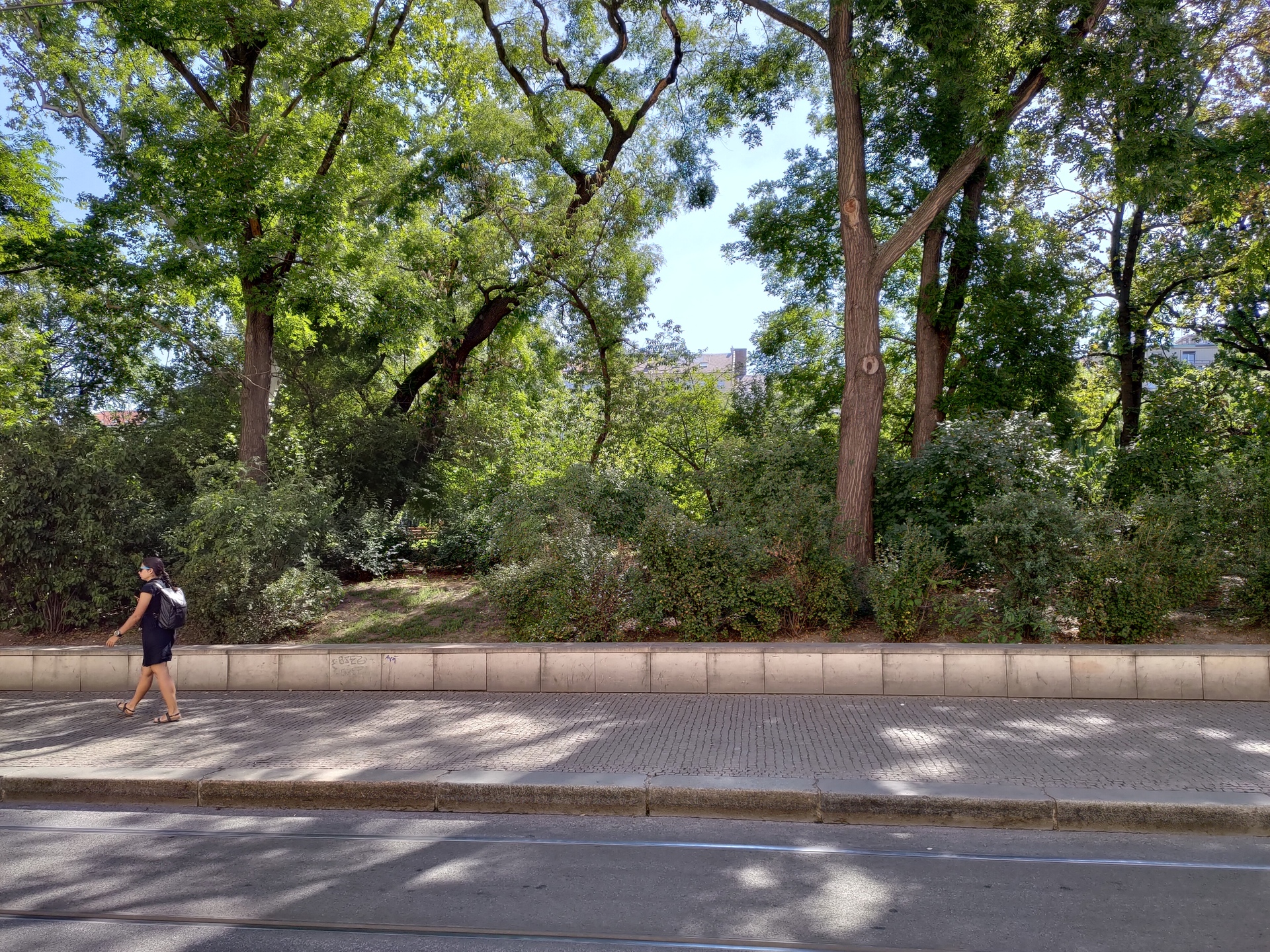 ASUS ZenFone 6 (2019)