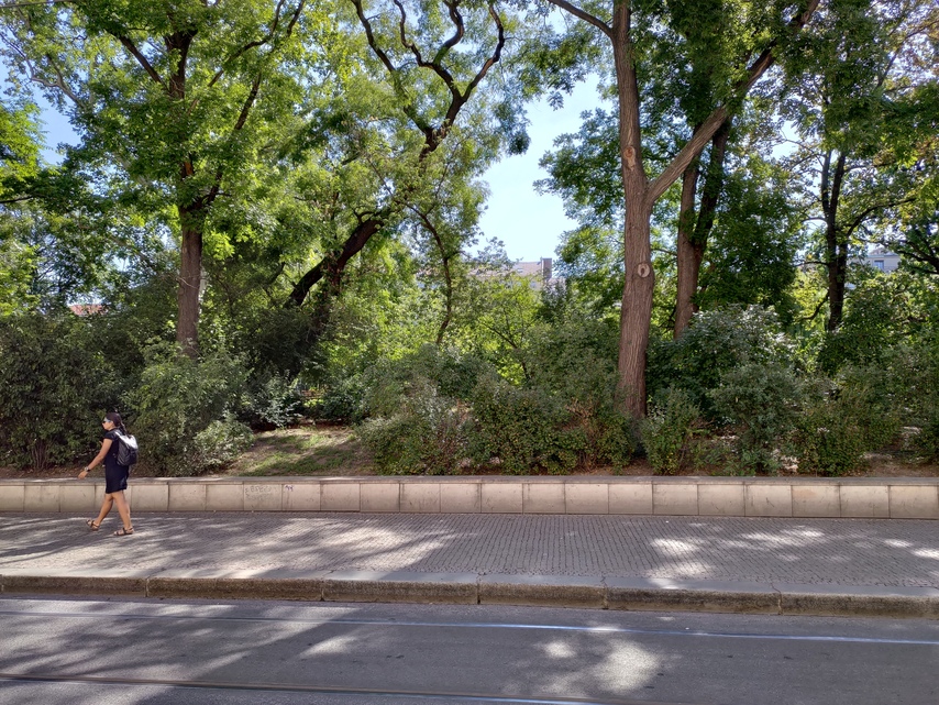 ASUS ZenFone 6 (2019)