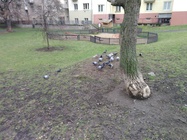 ASUS ZenFone Go (2016)