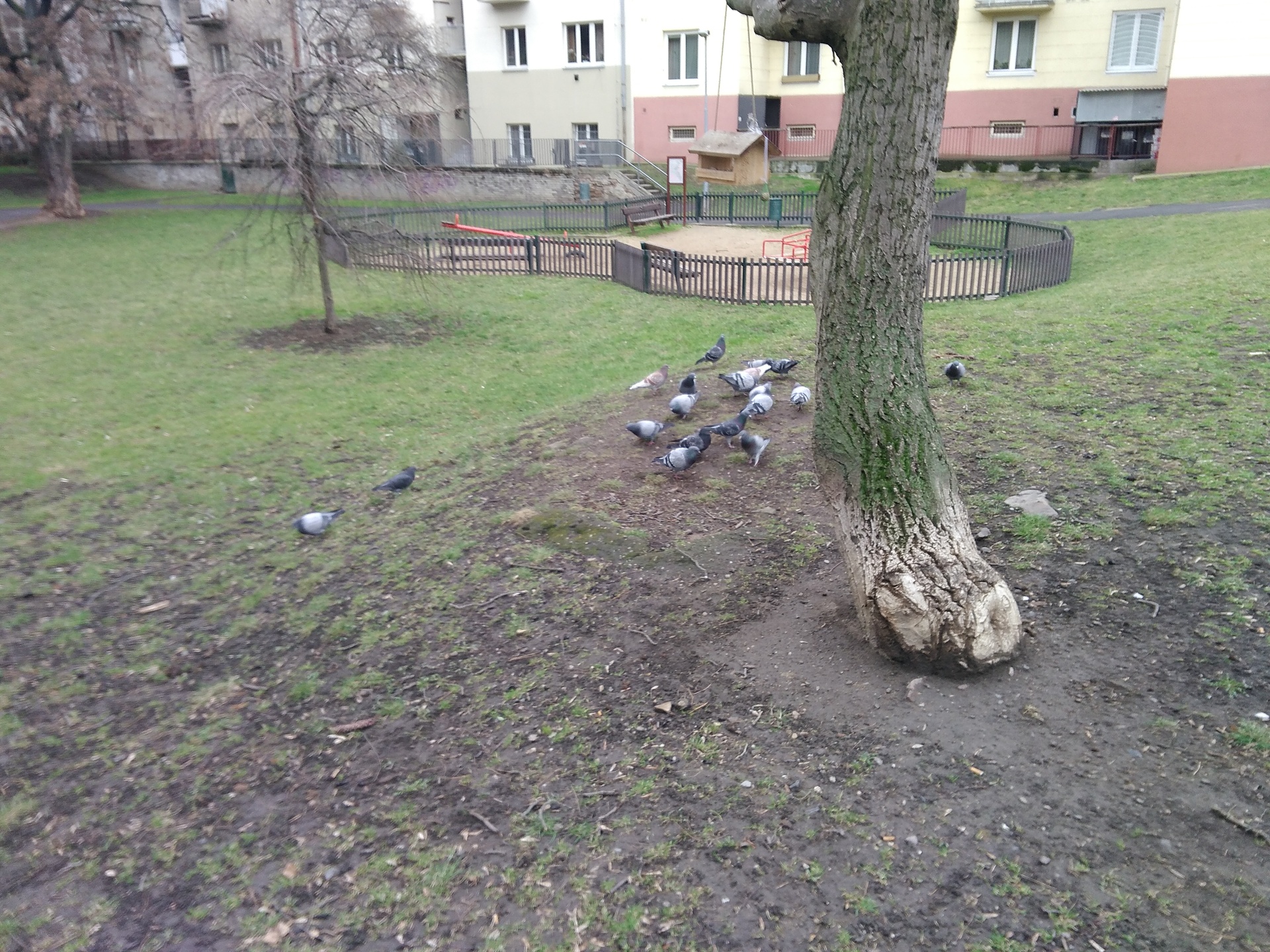 ASUS ZenFone Go (2016)