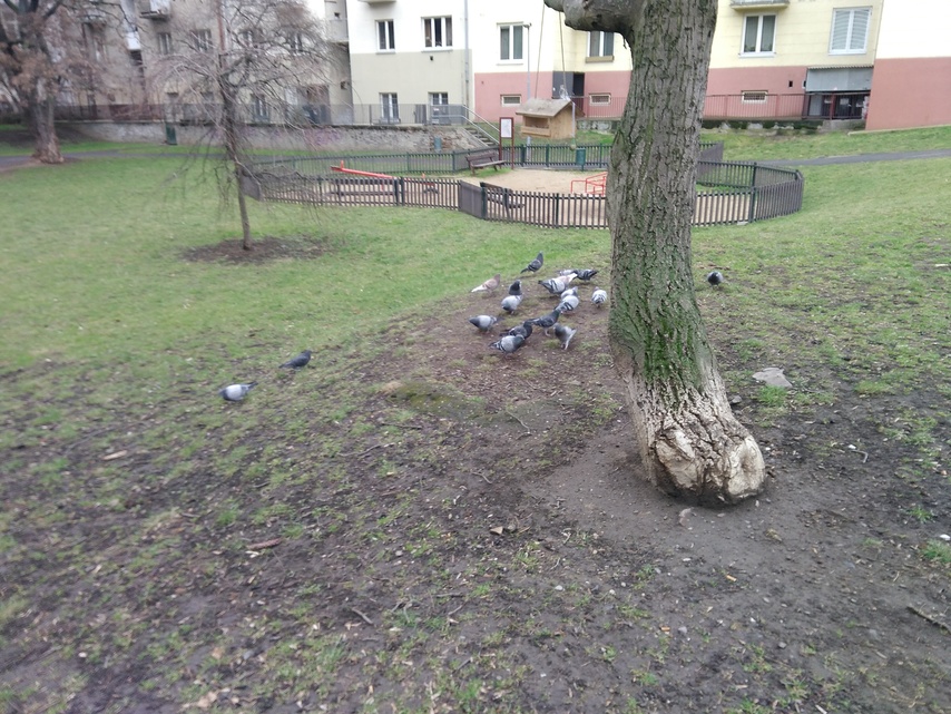 ASUS ZenFone Go (2016)