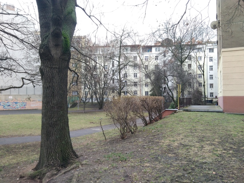 ASUS ZenFone Go (2016)