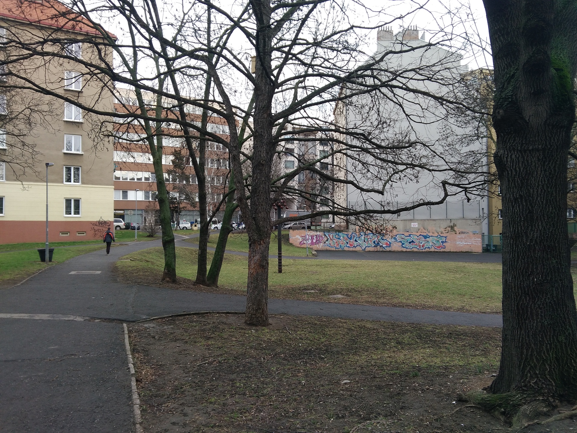 ASUS ZenFone Go (2016)