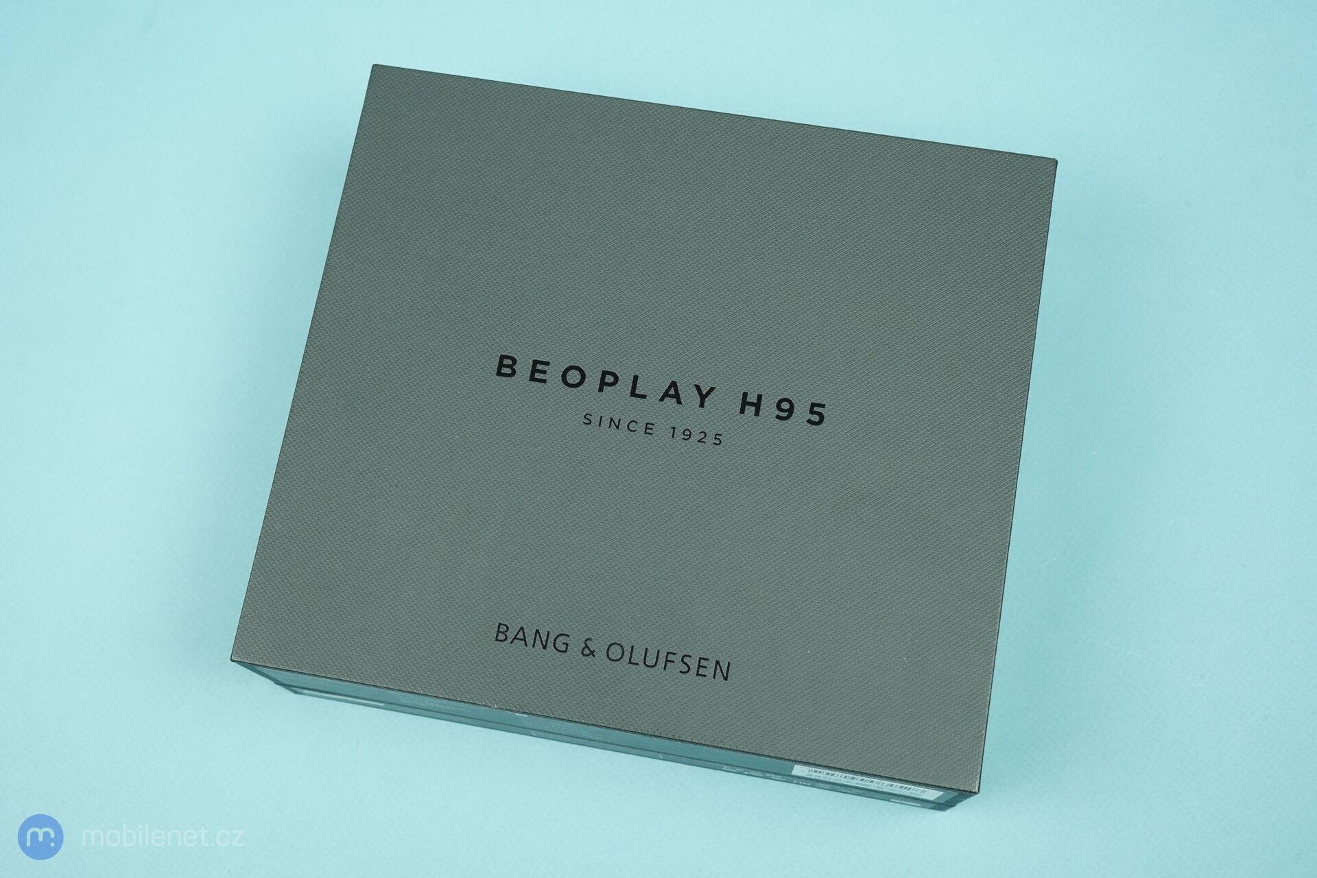 Bang & Olufsen Beoplay H95