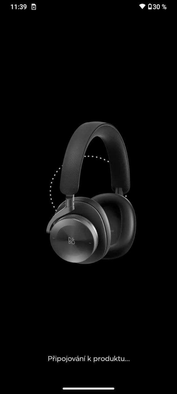 Bang & Olufsen Beoplay H95