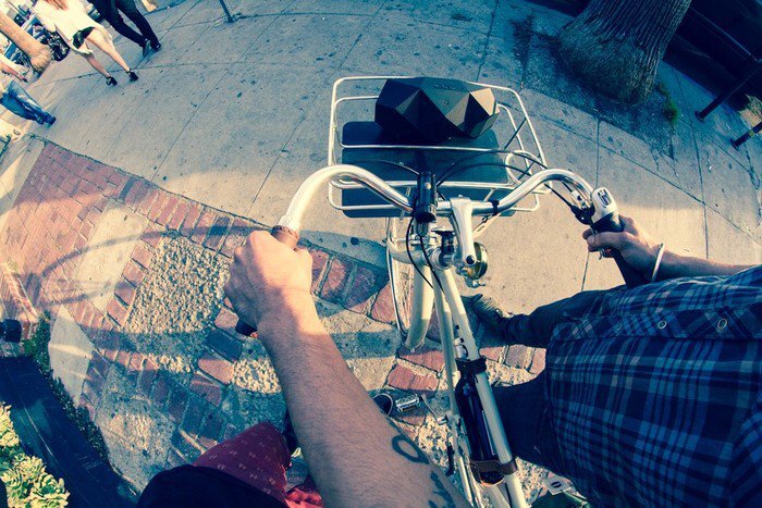 Big Turtle Shell BoomBox