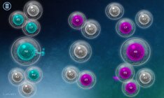 Biotix: Phage Genesis