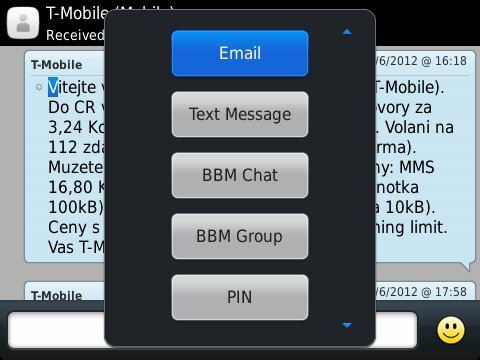 BlackBerry Bold 9790