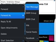 BlackBerry Bold 9790