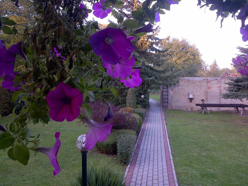 BlackBerry Bold Touch 9900