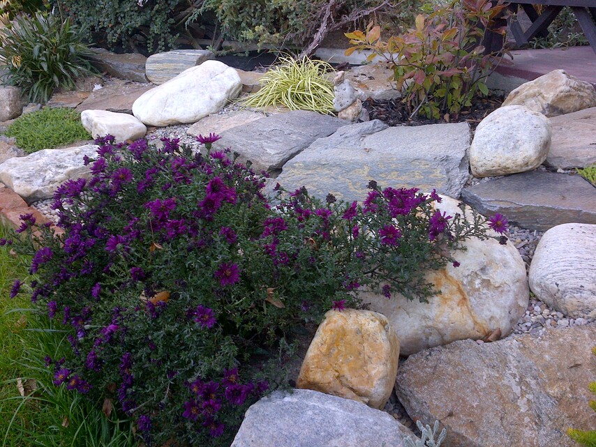 BlackBerry Bold Touch 9900