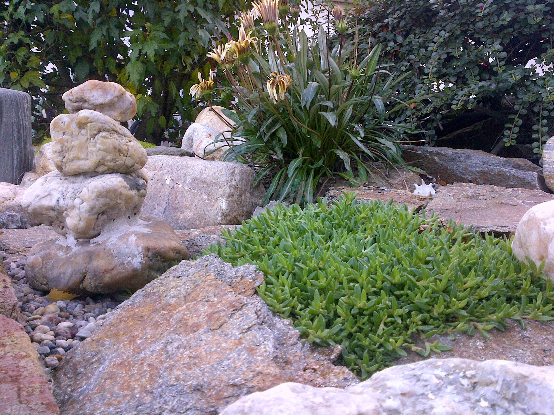 BlackBerry Bold Touch 9900