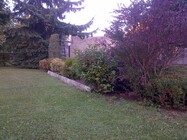 BlackBerry Bold Touch 9900