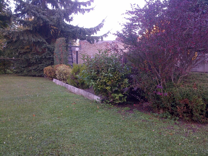 BlackBerry Bold Touch 9900