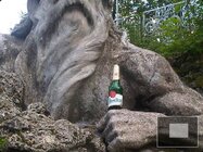 BlackBerry Bold Touch 9900