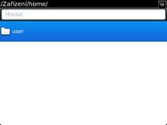 BlackBerry Bold Touch 9900