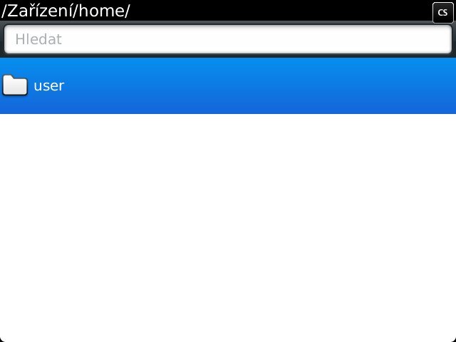 BlackBerry Bold Touch 9900