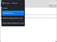 BlackBerry Bold Touch 9900
