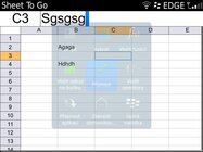 BlackBerry Bold Touch 9900