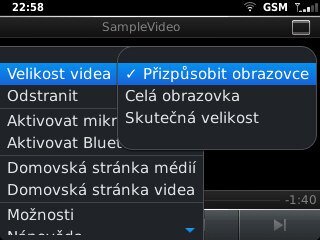 BlackBerry Curve 9320