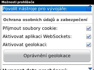 BlackBerry Curve 9320