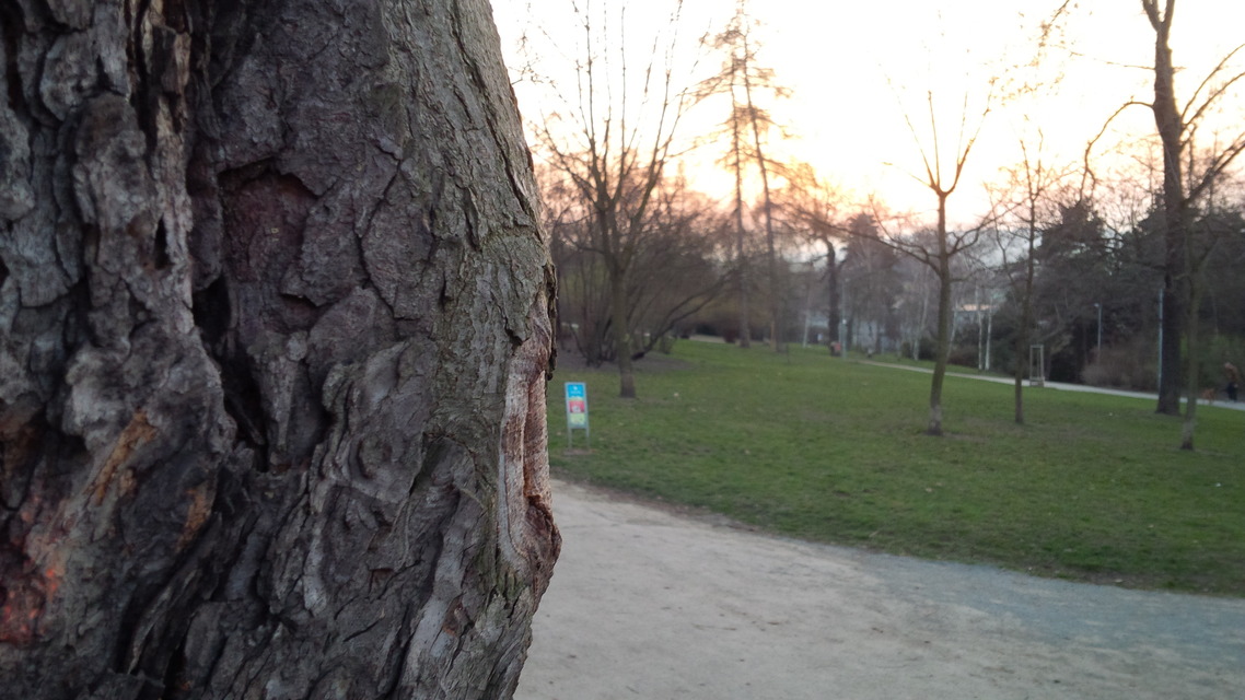 BlackBerry Porsche Design P’9982