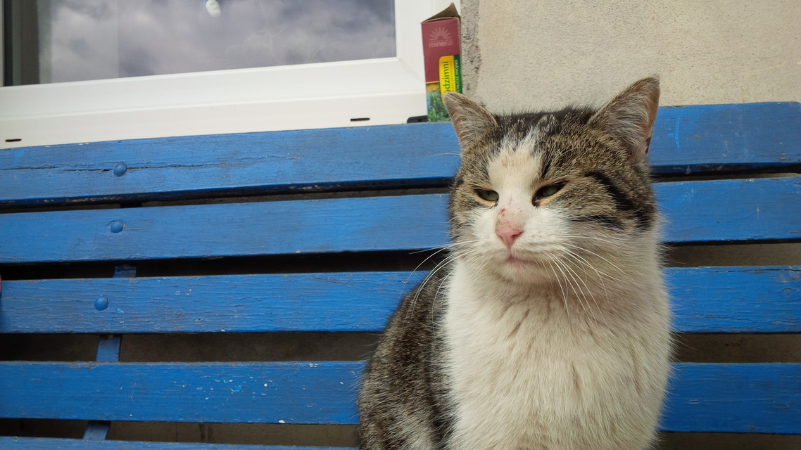 BlackBerry Porsche Design P’9982