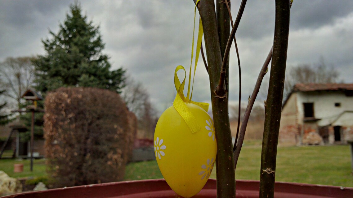 BlackBerry Porsche Design P’9982